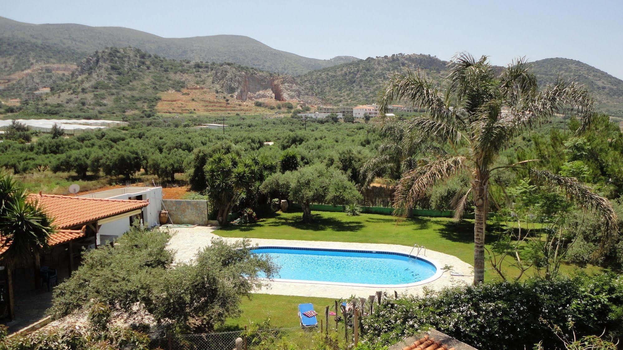 Ibiscus Hotel Malia エクステリア 写真